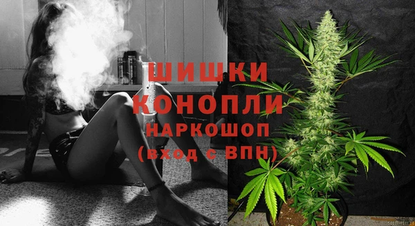 прущие крисы Надым